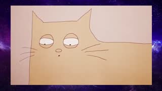 Why do cats act so weird? 