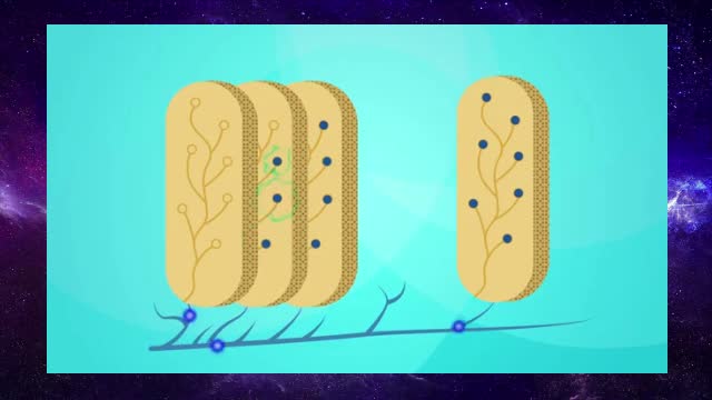 How do fish make electricity?