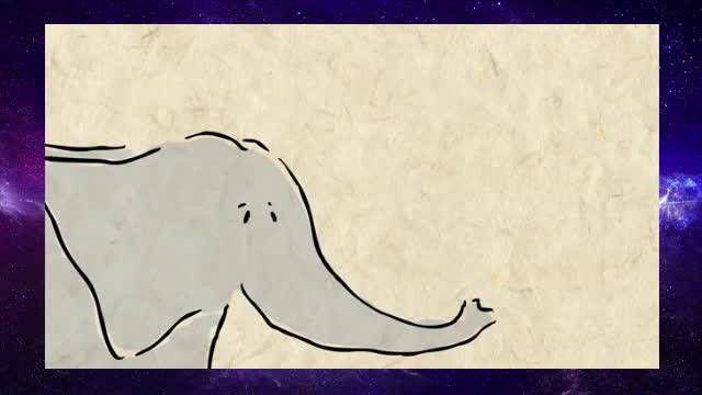Why elephants never forget
