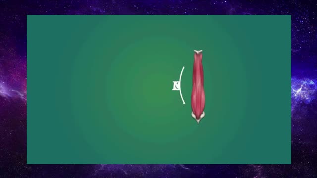 Why sitting is bad for you