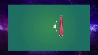 Why sitting is bad for you