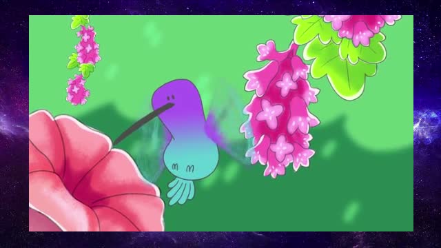 The surprising secrets of hummingbird flight