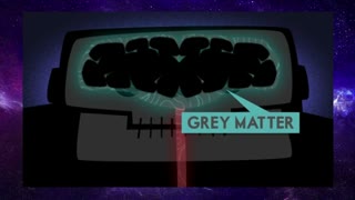 How does your brain respond to pain?