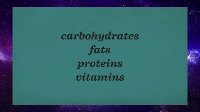 How your digestive system works