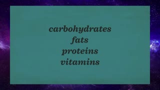 How your digestive system works