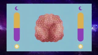 Can you be awake and asleep at the same time? 