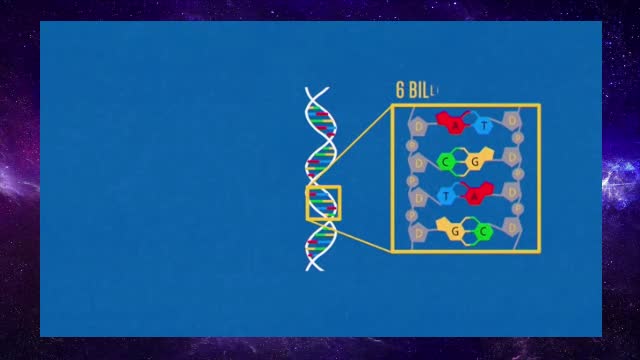 What can DNA tests really tell us about our ancestry? 