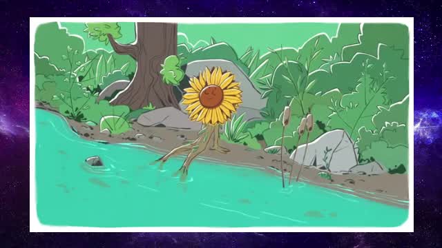 Meet the tardigrade, the toughest animal on Earth