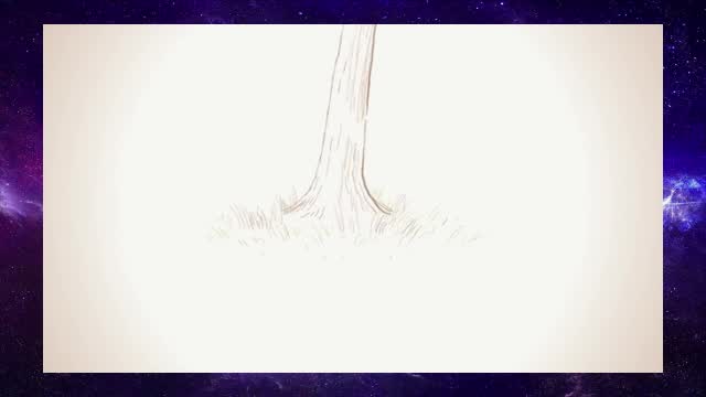 Why do humans have a third eyelid?