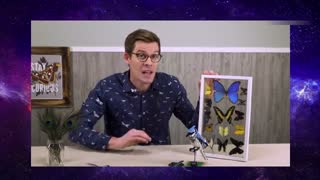 Why Is Blue So Rare In Nature?