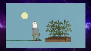 What causes insomnia?