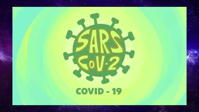 What is a coronavirus?