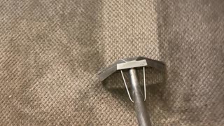 Jetsons Carpet Cleaner Care in Woodland Hills, CA