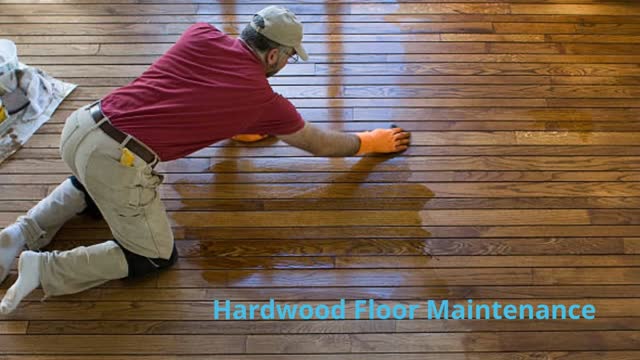 Leo's Holland Hardwood Floor Maintenance in Woodland Hills, CA