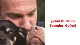 GoDog - Dog Walking Services in Brooklyn, NY