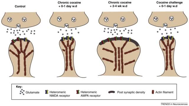 Midwest Institute for Addiction : #1 Drug Detox in Kansas City, MO
