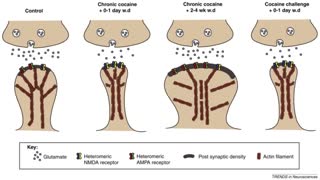 Midwest Institute for Addiction : #1 Drug Detox in Kansas City, MO