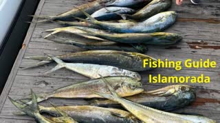 Snap Em Up Fishing Charters LLC : Best Fishing Guide in Islamorada, Florida