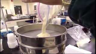 How Pringles Are Made