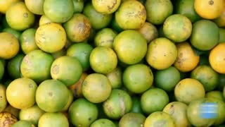 How Orange Juice Is Made in Factories