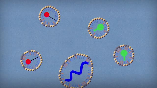 Which is better Soap or hand sanitizer