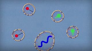 Which is better Soap or hand sanitizer