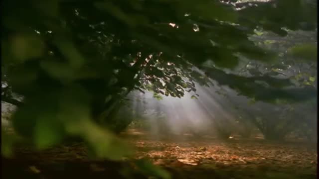 Discover the Story of Ferrero Rocher