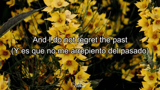 Selena Gomez - De Una Vez (lyrics)