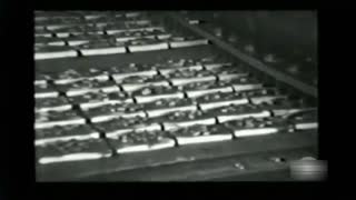 How SNICKERS Chocolate Bars are Made