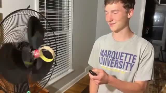 IMPOSSIBLE ODDS from Level 1 To Level 100