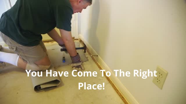 ALL US Mold Removal  in Coconut Creek FL