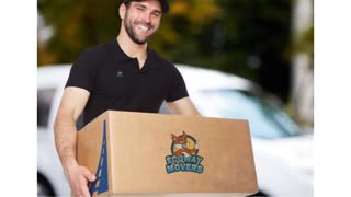 #1 Ecoway Movers in Milton, ON