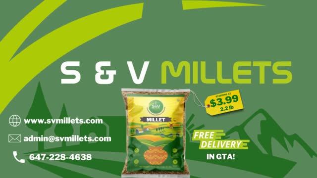 S & V MILLETS in Mississauga, Ontario