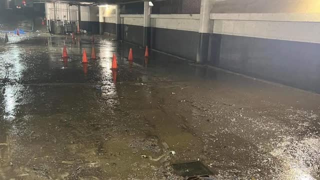 Texas Elite Restoration : Water Damage Restoration in Harlingen | 78559