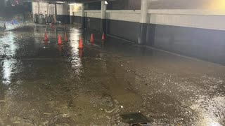 Texas Elite Restoration : Water Damage Restoration in Harlingen | 78559