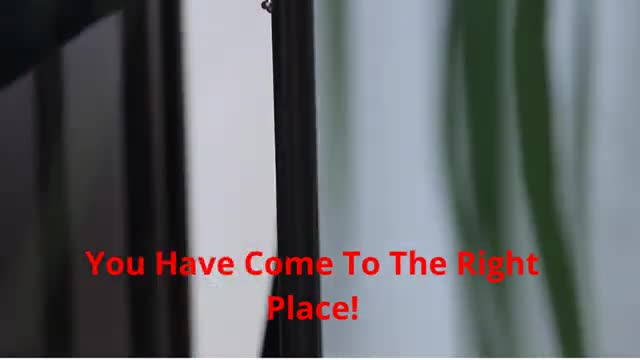 Cenark Automatic Doors : Automatic Doors in Little Rock, AR